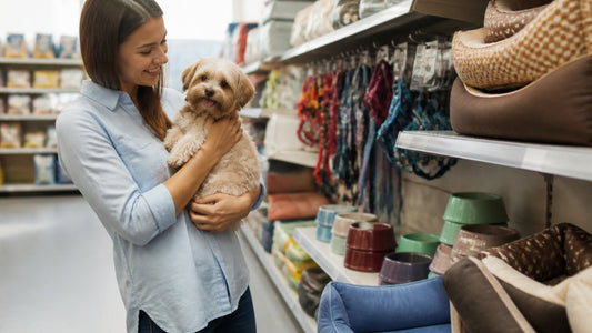 How to Find Reputable Pet Stores: A 2026 Guide